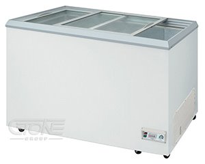 瑞興 4.3尺玻璃對拉冰櫃_RS-DF430
